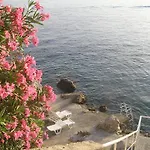 Bajo - Free Parking
